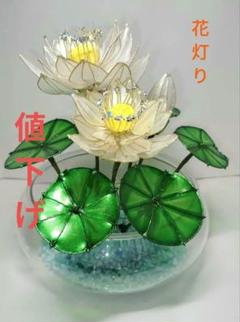 パールホワイト　蓮華の池