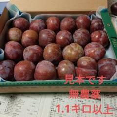 鹿児島産　すもも 4キロ 鹿児島産すもも4キロ 訳あり - メルカリ