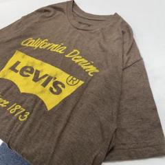 Levi's アメカジ 半袖Tシャツ ブラウンイエロー メンズL