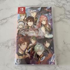 スチームプリズン Beyond the Steam Switchソフト