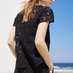 Theory luxe - theory luxe ウォッシャブル Vネックブラウス
