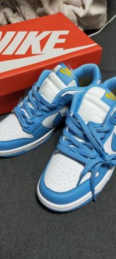 NIKE WMNS DUNK LOW COAST 26.5cm