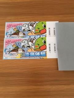 あわしまマリンパーク 招待券 チケット ペア 静岡県