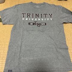トリニティ大学 Tシャツ Lサイズ グレー Jansport