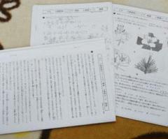 浜学園 小6 入試直前ニューイヤー特訓