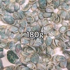 アワビ　ミニサイズ　無選別　180g