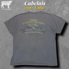 00s アメリカ憲法修正第二条 両面プリントTシャツ　表記L イーグル　銃