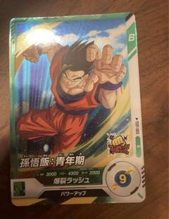 ドラゴンボール　ロケテ　孫悟飯 ドラゴンボール スーパーダイバーズ ロケテスト カード 孫悟飯 1