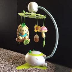 森のふわふわ泣いたらメリー