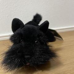 ハロッズ 犬 ぬいぐるみ Amazon.co.jp: （ハロッズ) Harrods,正規品,コーギー,ぬいぐるみ