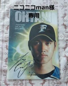 大谷翔平　ノベルティ　クリアファイル　JA岩手　北海道ファイターズ　ファイル 大谷翔平 ノベルティ クリアファイル JA岩手 北海道ファイターズ