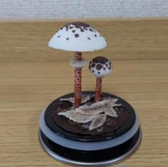F*様 オサムシタケ（自作きのこフィギュア） キノコを擬人化したオリジナルフィギュアプロジェクト
