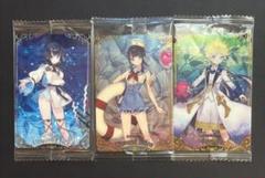 PSA10 Lycee FGO fate アサシン カーミラ 税込) PSA10 Lycee FGO fate アサシン カーミラ その他 - その他