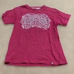 Gooses T-Shirts アボリジニカメ Tシャツ 6