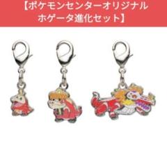 【新品・未開封】ポケモン全国ずかんメタルチャーム　ホゲータ進化セット