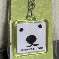 円山動物園 ガチャ 木製キーホルダー ホッキョクグマ ララファミリー 5点セット 2025年最新】円山動物園 ガチャの人気アイテム - メルカリ