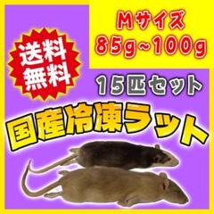 個包装 冷凍ラット 30匹 43g前後