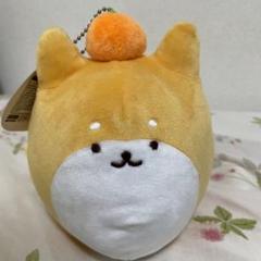 2025年最新】kinako ぬいぐるみ きなこ犬の人気アイテム - メルカリ