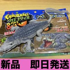 クロコダイル&co. アンドコ　ニシアフリカコビトワニ