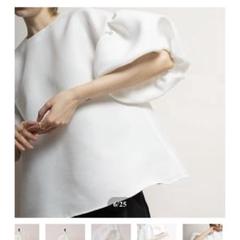 Heve ヘイヴ　タフタバルーンブラウス　ブラック　クリーニング済 Heve ヘイヴタフタバルーンブラウスブラッククリーニング済