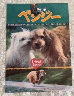 ペーパーチェイス　ティモシー・ボトムズ　映画館販促用B2ポスター ペーパーチェイス ティモシー・ボトムズ 映画館販促用B2ポスター