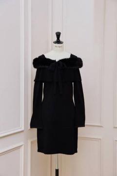 ワンピース Herlipto Embroidery Poplin Mini Dress Dresses