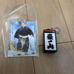 大相撲　錦木　電光掲示板キーホルダー　力色紙　大相撲ガチャ　座布団　マステ 大相撲 阿炎 力色紙 座布団 電光掲示板風キーホルダー ヘアピン