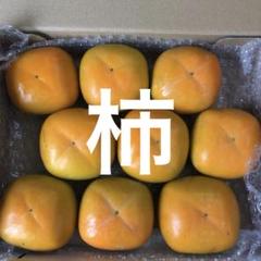 奈良県西吉野産ハウス柿9玉入り宅配コンパクト⑤のサムネイル