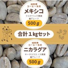 爆安!!【コーヒー生豆】タンザニアAA 5kg/ロブスタ2種、メキシコ500g 爆安!!【コーヒー生豆】タンザニアAA 5kg/ロブスタ2種、メキシコ500g