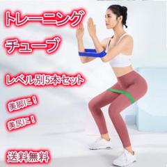 トレーニングチューブ 5本セット エクササイズバンド ヨガ 筋トレ ダイエット