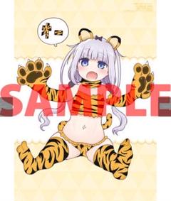 B6アクリルプレート 小林さんちのメイドラゴン とらのあなラノベフェスタ2020 小林さんちのメイドラゴン とらのあな コミックラノベフェスタ