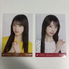 乃木坂46 生写真 矢田萌華 大阪公演ライブTシャツとドット