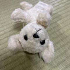 モンスイユ 日本製 犬 ぬいぐるみ 中古品 m22465827811_1.jpg?1720399442