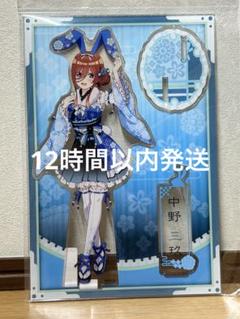 2025年最新】三玖 アクリルスタンド バニーの人気アイテム