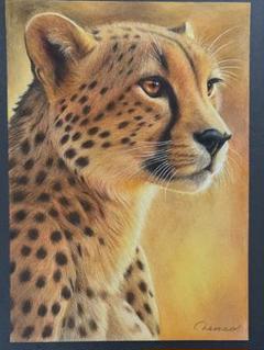 駆けるチーター 色鉛筆画 パステル 色鉛筆画A4 チーター - メルカリ