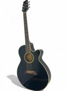 2025年最新】takamine npt-110の人気アイテム - メルカリ