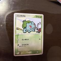 【極美品】カードダス　フシギダネ　カメール　2枚 2025年最新】フシギダネポケモンカードの人気アイテム - メルカリ