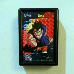 ドラゴンボールθデータカードダス カードケース大小まとめ売り ドラゴンボールZ データカードダス ミニケース カードケース