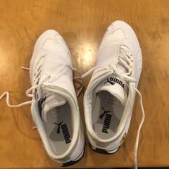 PUMA Ferrari ホワイト スリムフィットシューズ 24