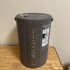 2025年最新】象印 EE-DC35の人気アイテム - メルカリ
