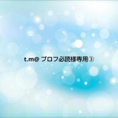 ダッドウェイ FAD アニマル・プラッシュトイXSベア