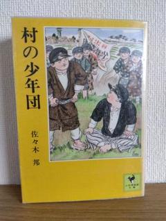 少年倶楽部文庫　31冊セット 少年倶楽部文庫 1巻～42巻不揃い 35冊 （全42冊）(江戸川乱歩