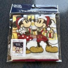 東京ディズニーシー クリスマスタオル