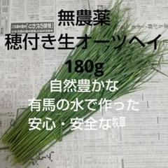 【穂付き生オーツヘイ180g】17時までのご購入で当日発送。生産農家直送のサムネイル