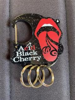 新品未使用】Acid Black CherryChristmasキーホルダー