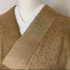 小紋 青海波 地模様 菊 笹 正絹 A368 小紋 正絹 波の青海波 広衿 袷 着物 T-1266F