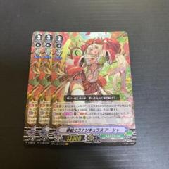 人気の 夢紡ぐラナンキュラスアーシャ他spクランパック 人気第1位 Www Commercialbank Cm Com