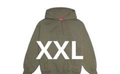 Supreme Satin Applique Hooded Sweatshirtのサムネイル