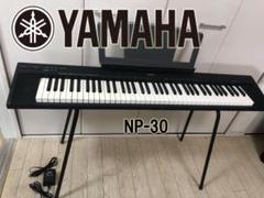 ヤマハ | NP-30 - Piaggero（ピアジェーロ） - 概要