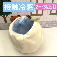 モモンガ　果物ポーチ　黄色　夏用　接触冷感ブランケット付き 2025年最新】フクロモモンガ ポーチ 夏の人気アイテム - メルカリ